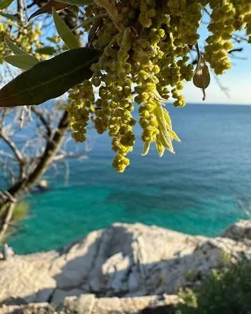 Fragrances Of Istria - La Lavanda Appartamento